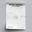 Switch Breast Anatomy Activity Sheet PDF 2 image