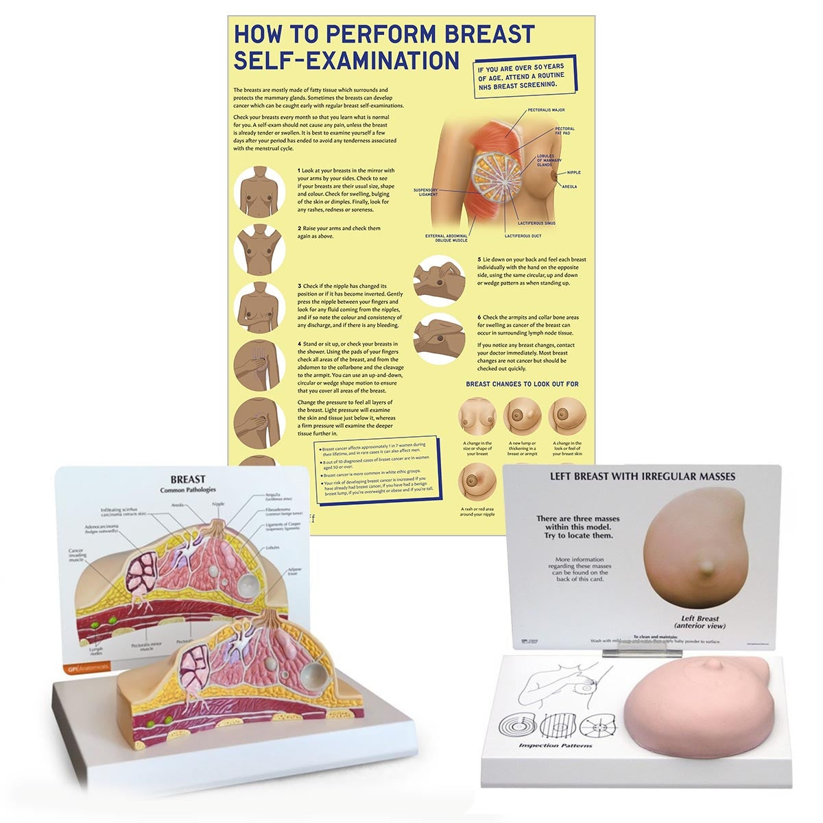 Breast Anatomy & Pathology Collection