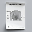 Switch Breast Anatomy Poster PDF 2 image