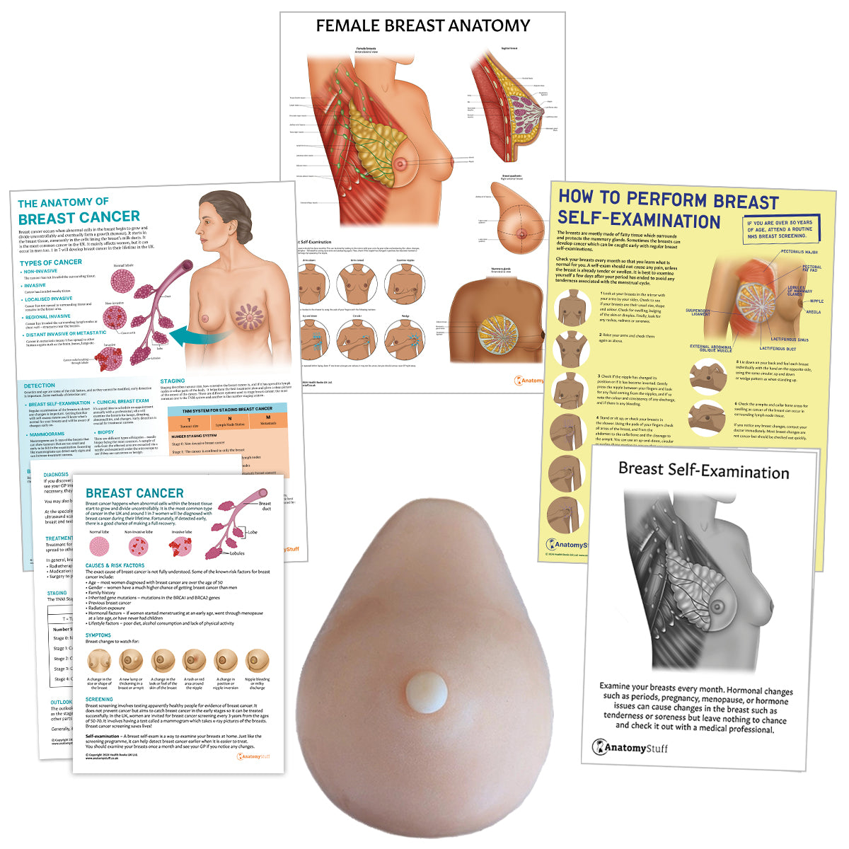 Breast Cancer Education Bundle