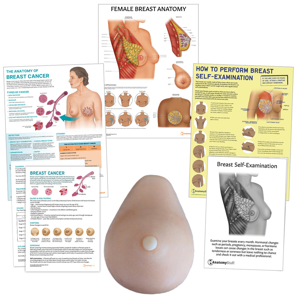 Breast Cancer Education Bundle