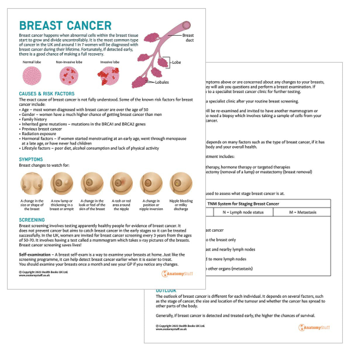 Breast Cancer Education Bundle