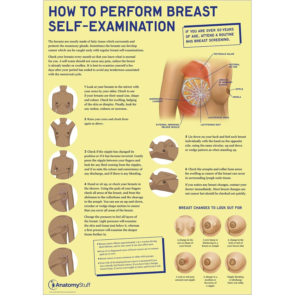 Breast Anatomy & Pathology Collection