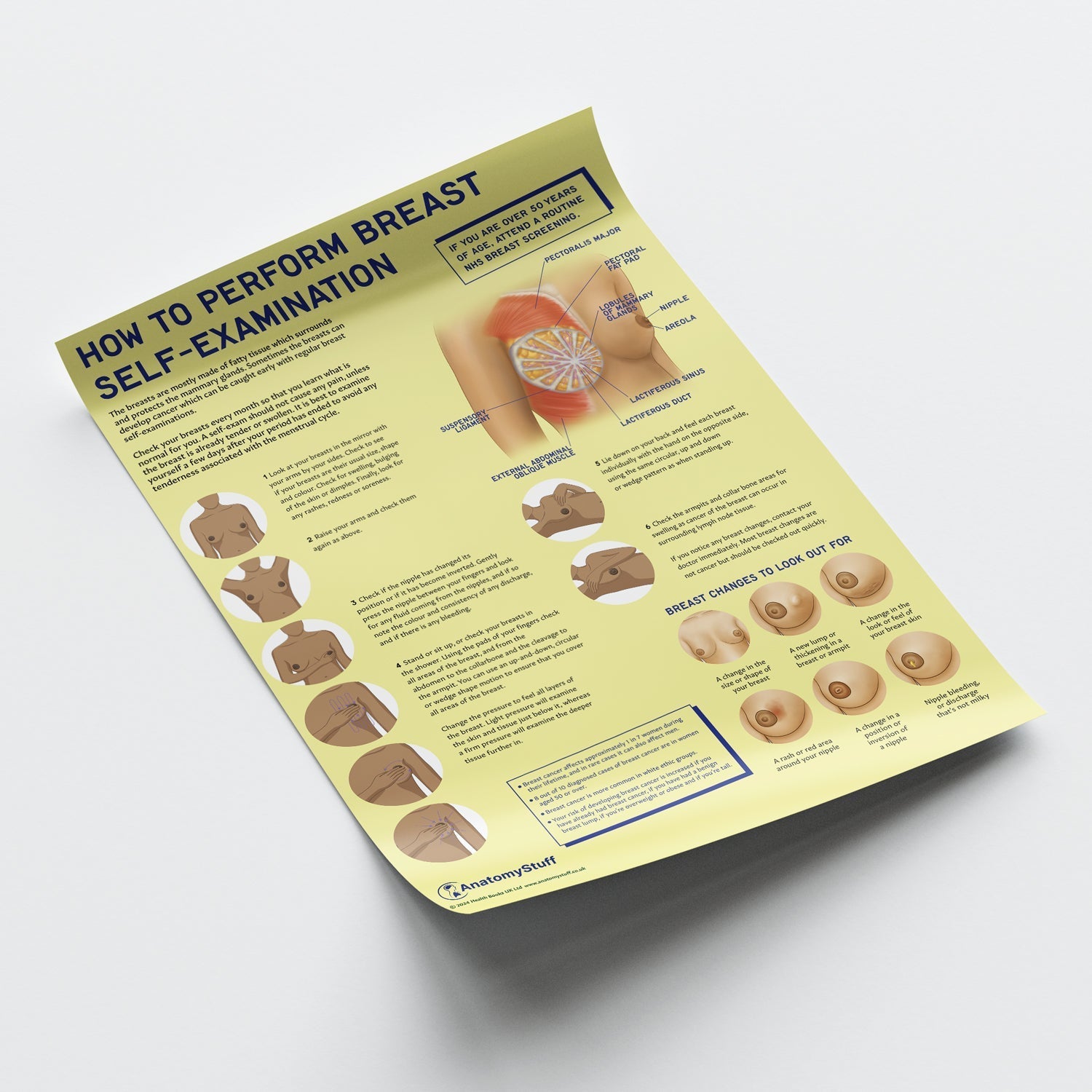 How to Perform Breast Self Examination (BSE) Chart / Poster - Part of Collection