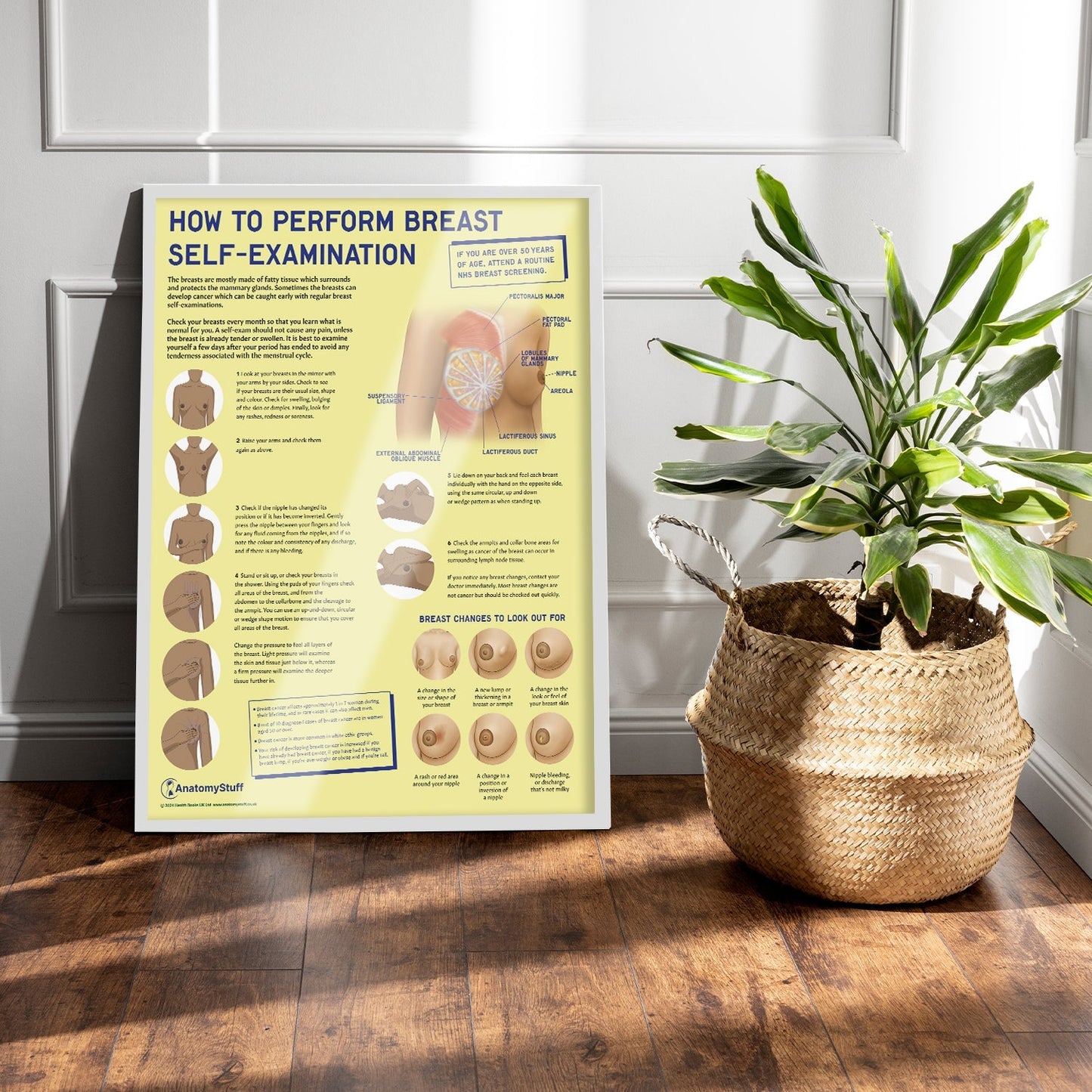 How to Perform Breast Self Examination (BSE) Chart / Poster - Part of Collection