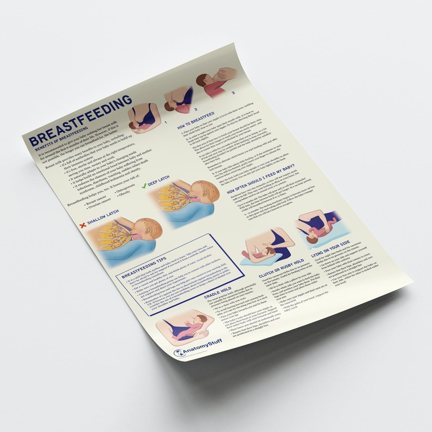 Breastfeeding Chart / Poster - Part of Collection