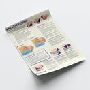 Switch Breastfeeding Chart / Poster 3 image