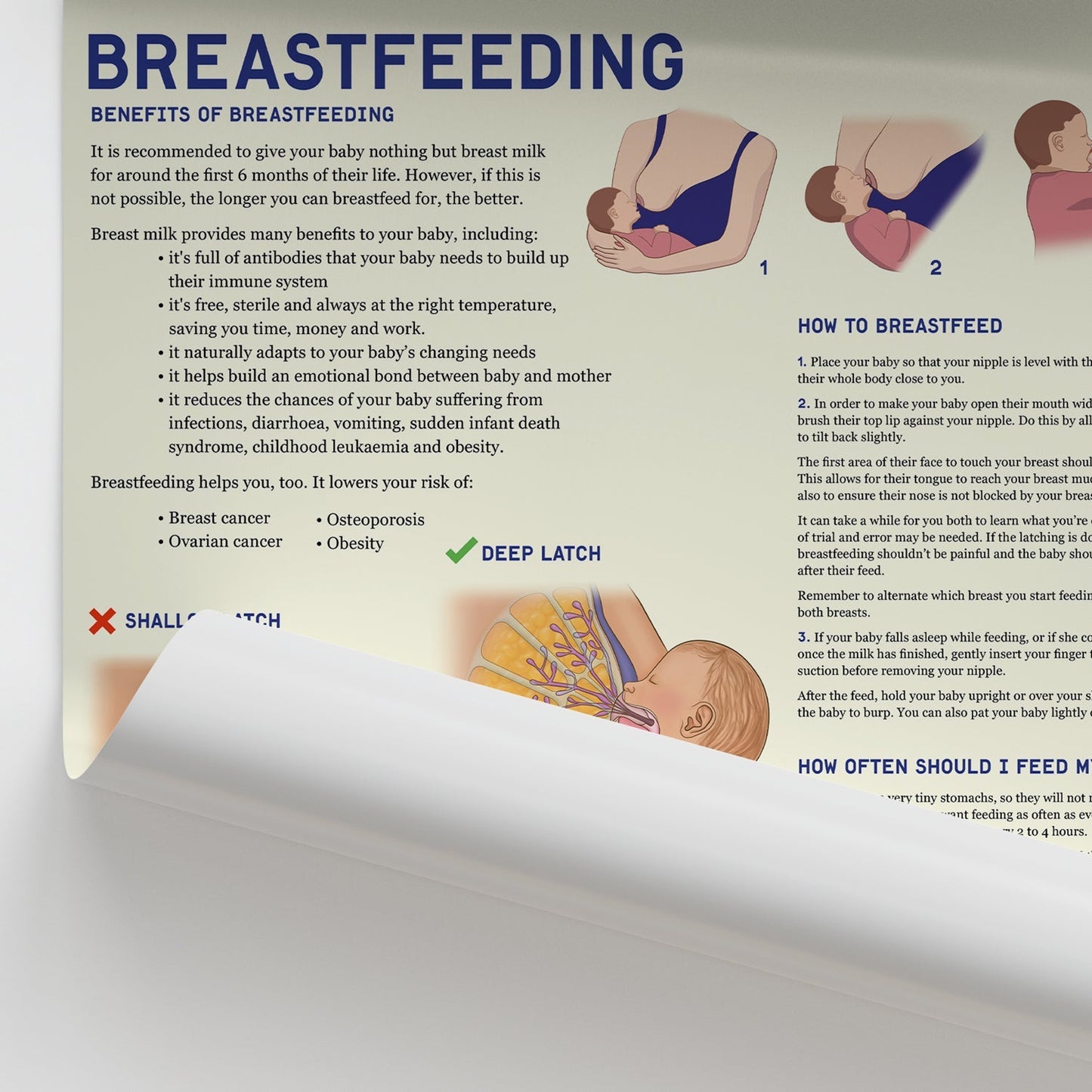 Breastfeeding Chart / Poster - Part of Collection