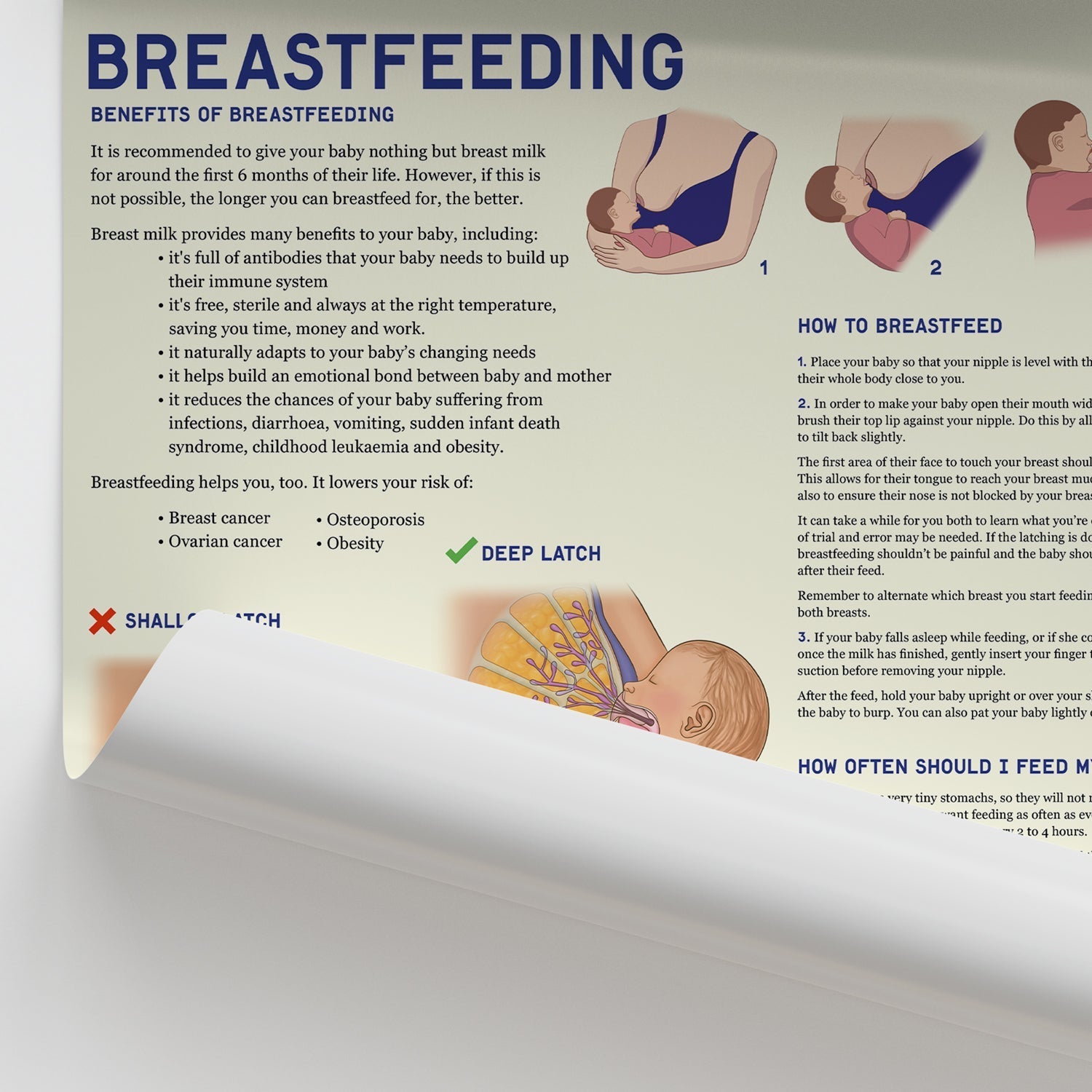 Breastfeeding Chart / Poster - Part of Collection
