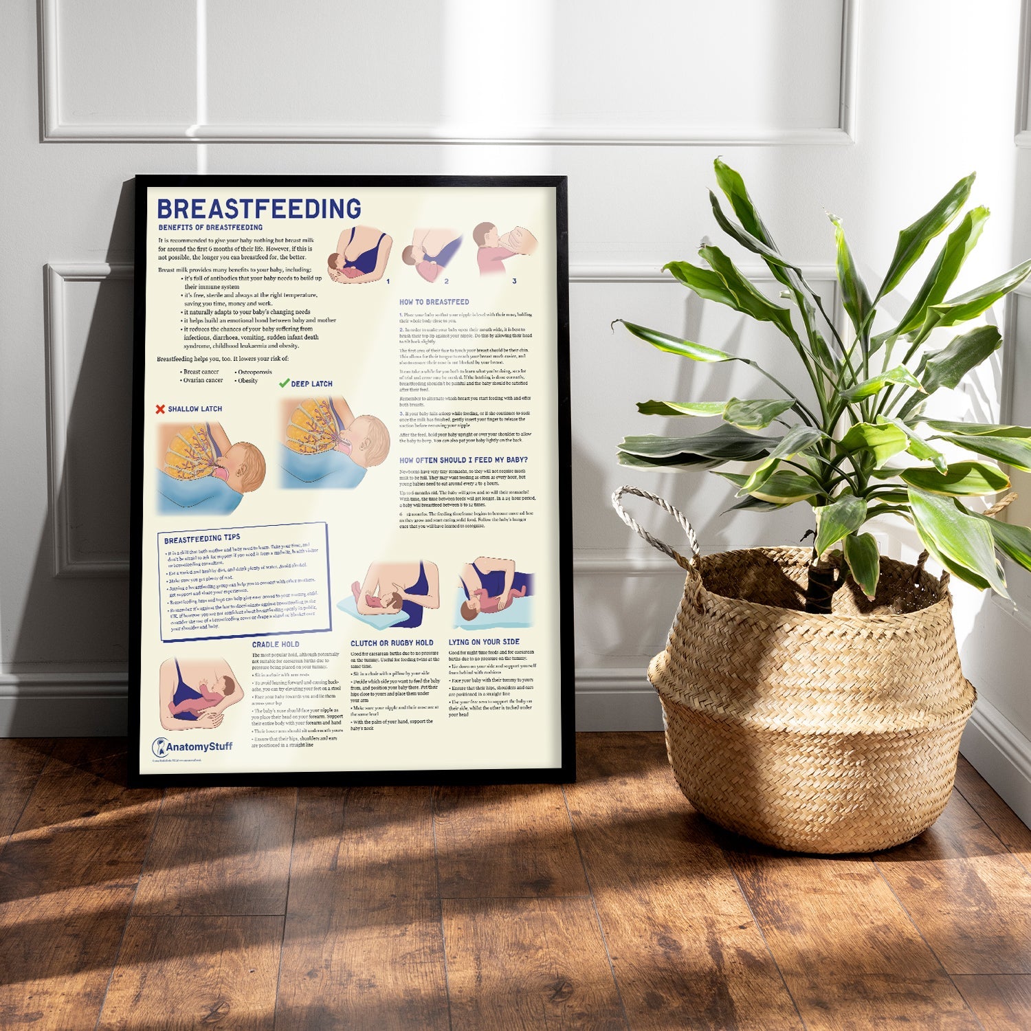 Breastfeeding Chart / Poster