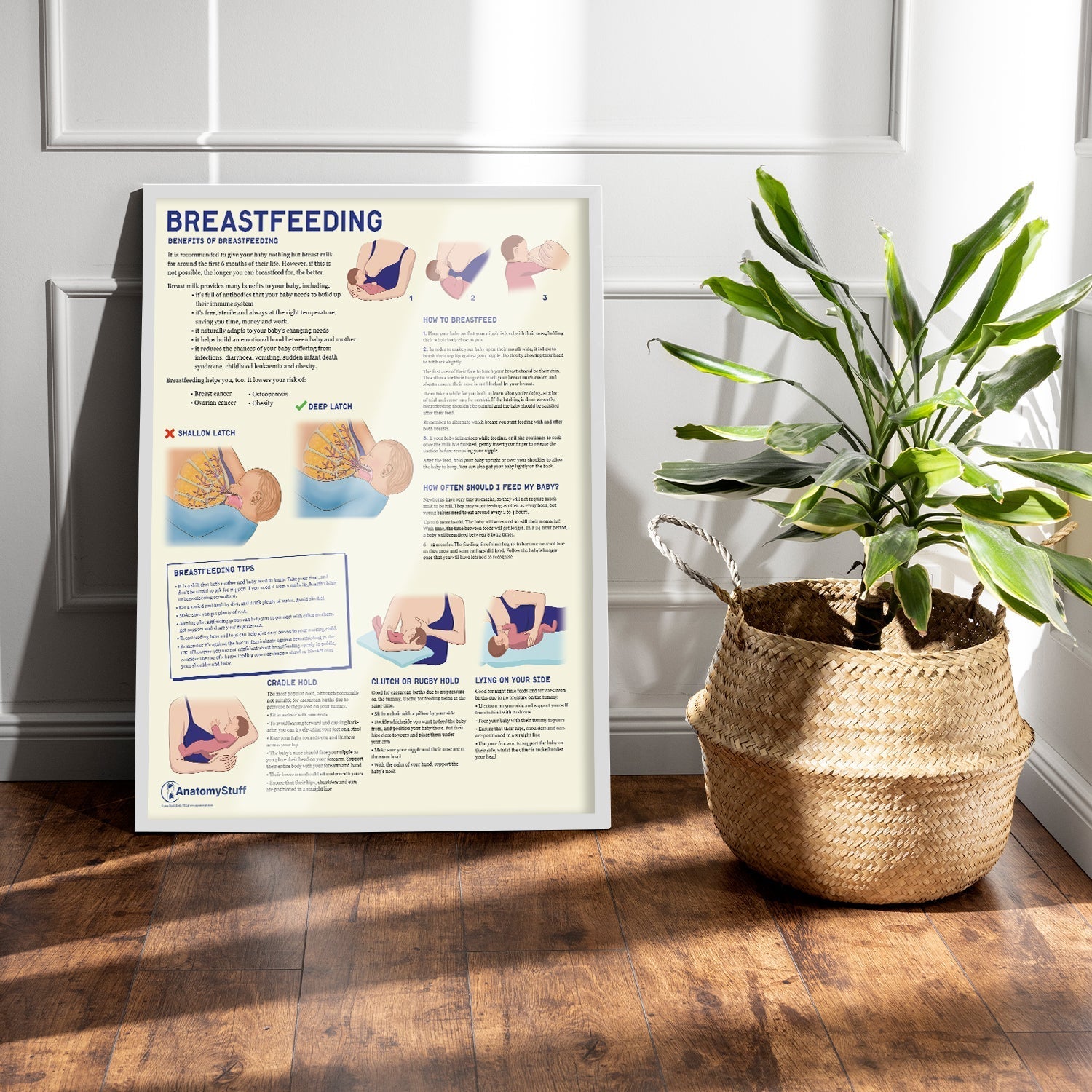 Breastfeeding Chart / Poster - Part of Collection