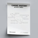 Switch Canine Anatomy Activity Sheet PDF 2 image