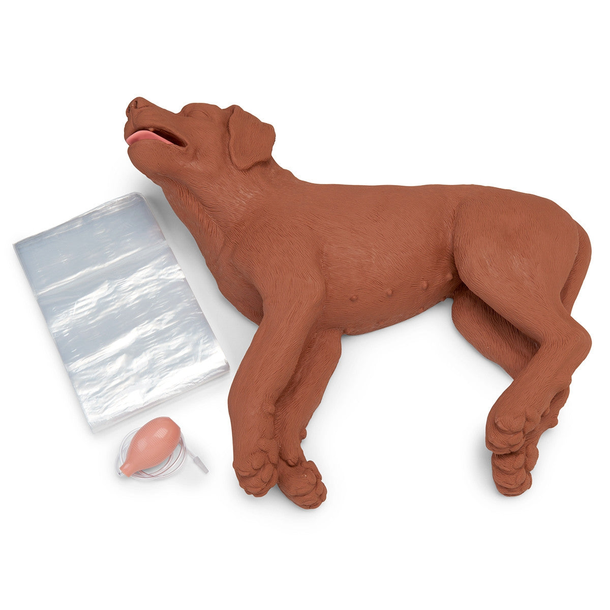 Canine CPR Manikin Casper