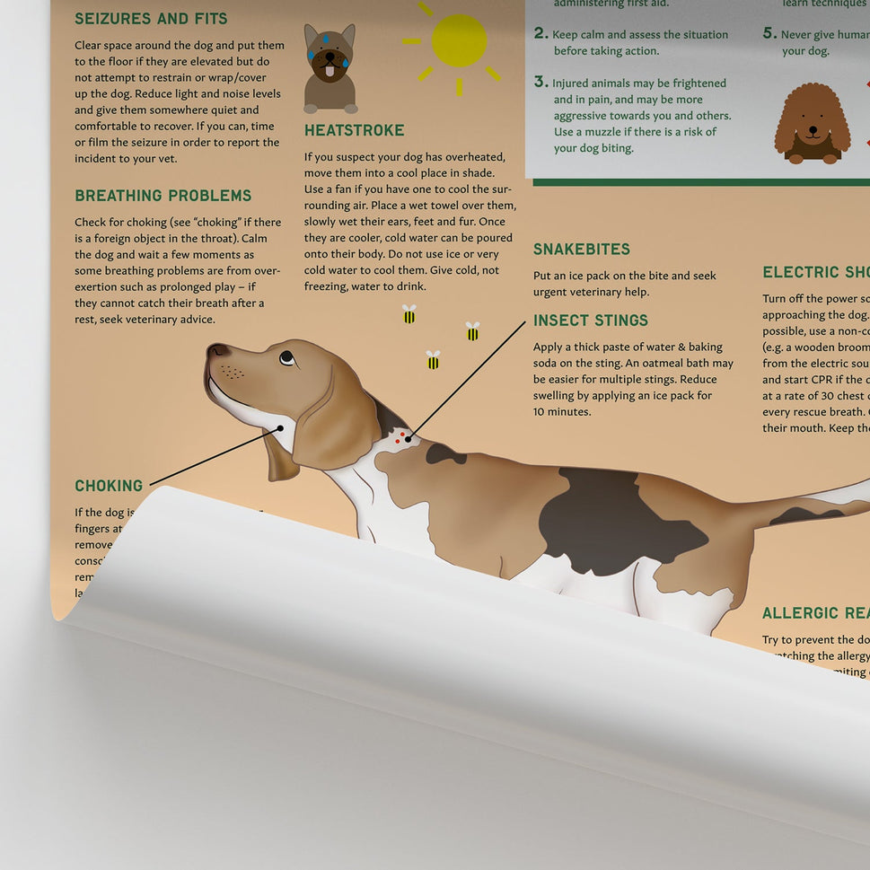 Canine Health & Safety: First Aid for Your Dog Chart / Poster