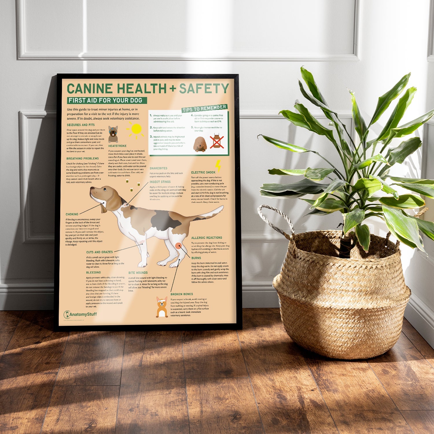 Canine Health & Safety: First Aid for Your Dog Chart / Poster