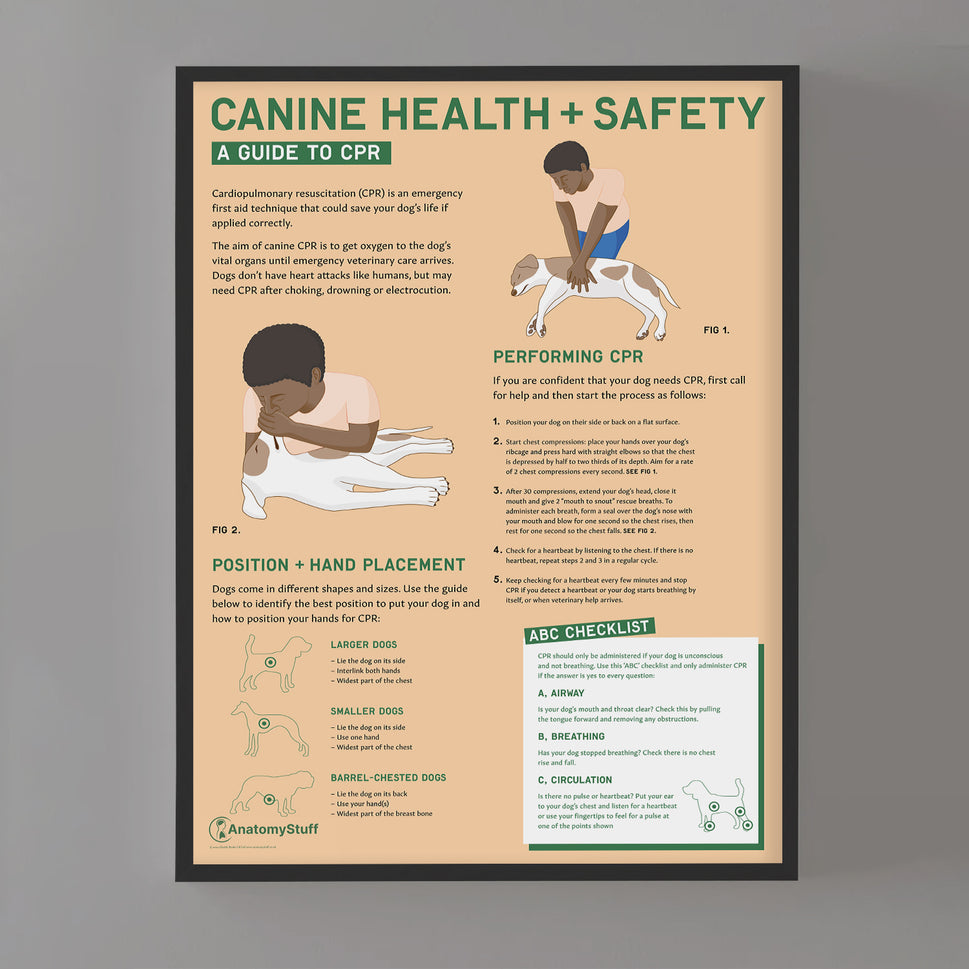 Canine Health & Safety: A Guide to CPR for Dogs Chart /  Poster