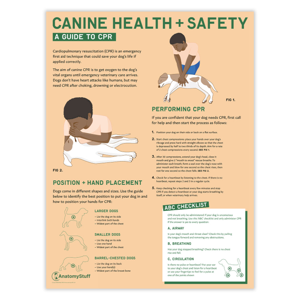 Canine Health & Safety: A Guide to CPR for Dogs Chart /  Poster