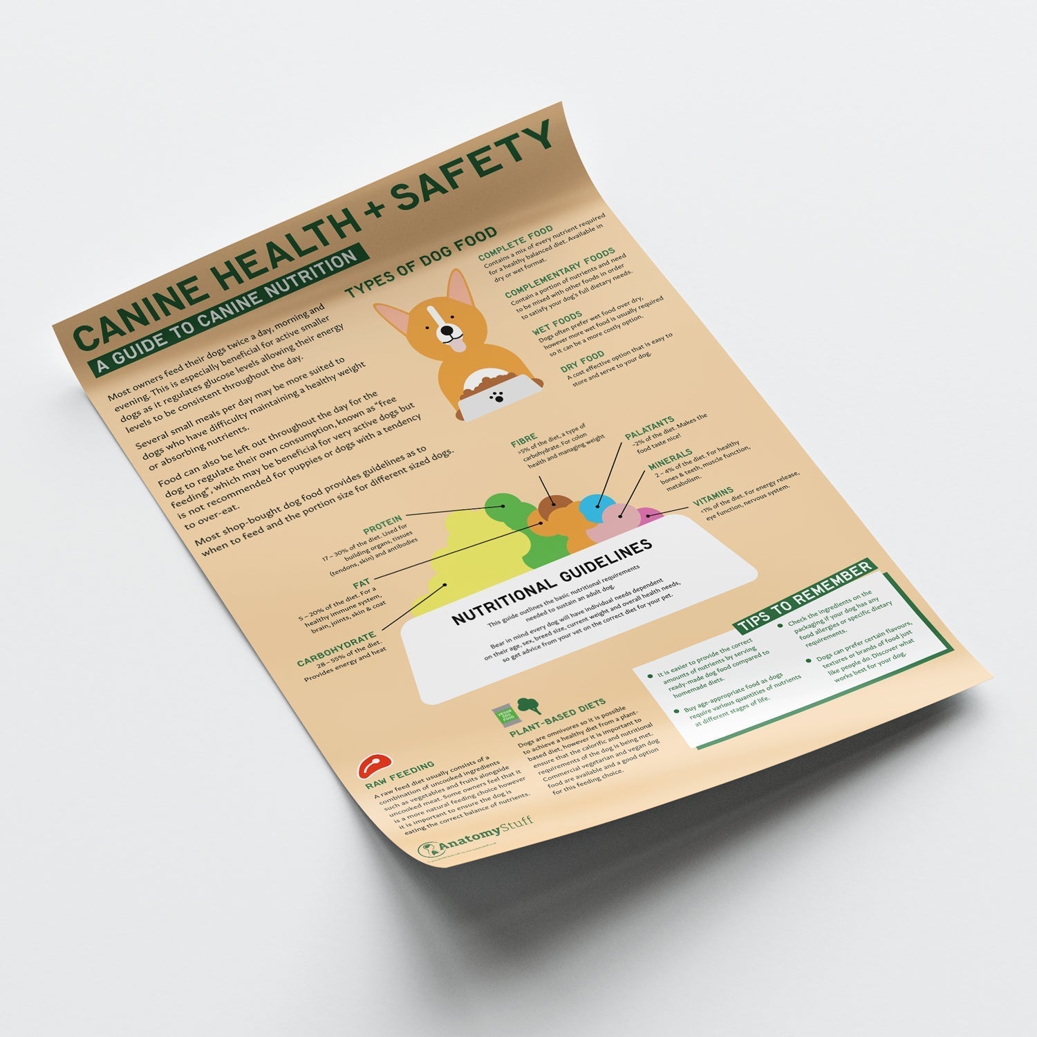 Canine Health & Safety: A Guide to Canine Nutrition Chart / Poster - Part of Collection