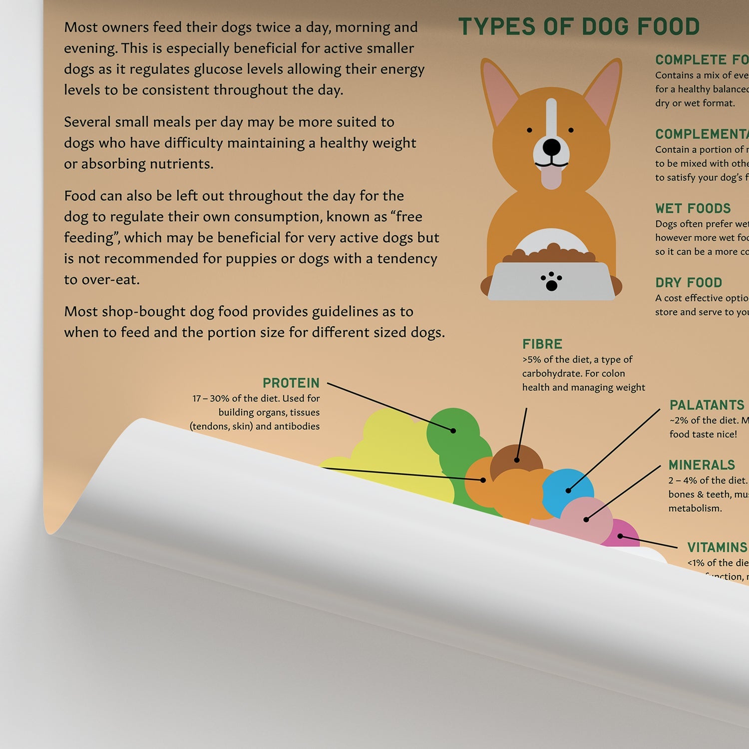 Canine Health & Safety: A Guide to Canine Nutrition Chart / Poster