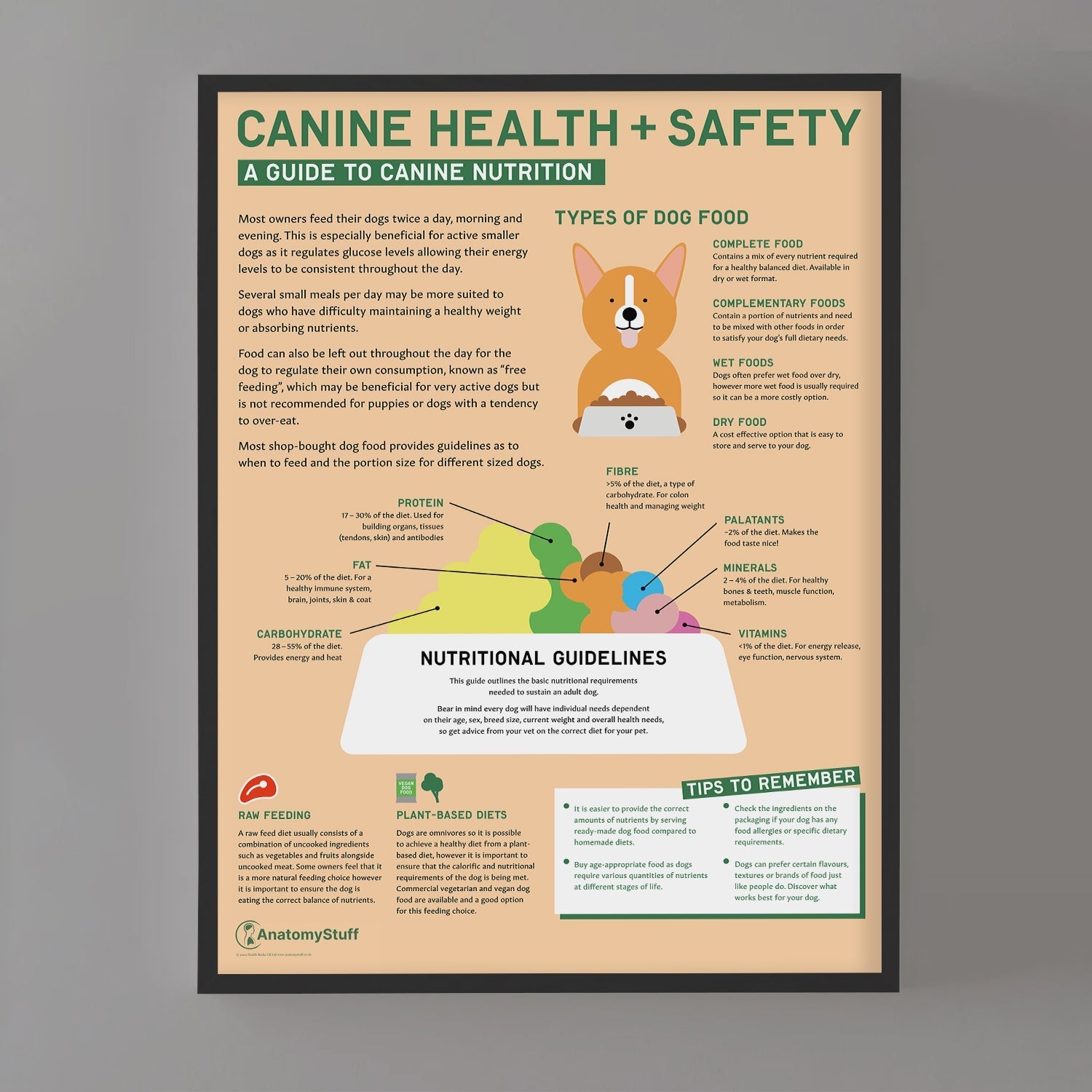 Canine Health & Safety: A Guide to Canine Nutrition Chart / Poster - Part of Collection