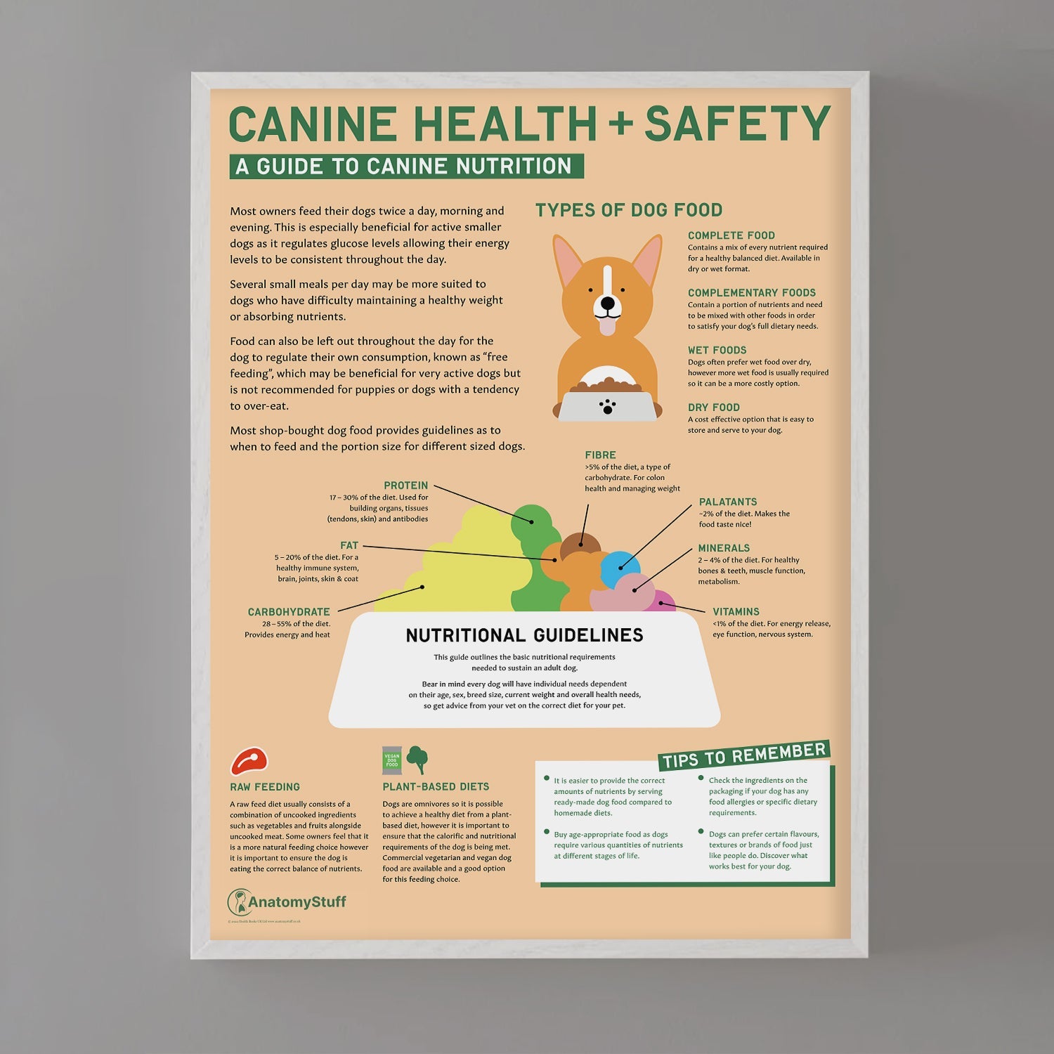 Canine Health & Safety: A Guide to Canine Nutrition Chart / Poster