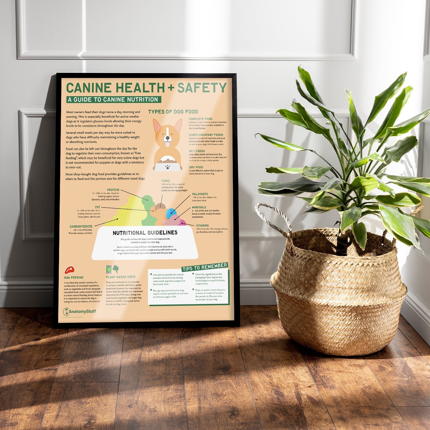 Canine Health & Safety: A Guide to Canine Nutrition Chart / Poster - Part of Collection