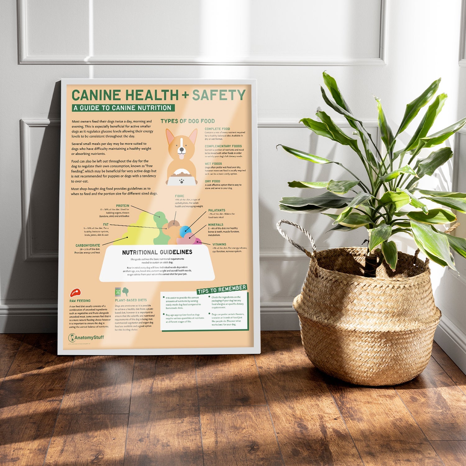 Canine Health & Safety: A Guide to Canine Nutrition Chart / Poster