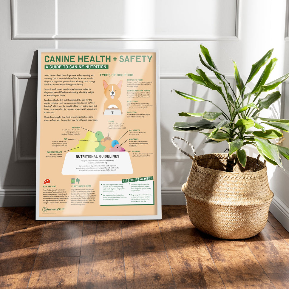 Canine Health & Safety: A Guide to Canine Nutrition Chart / Poster