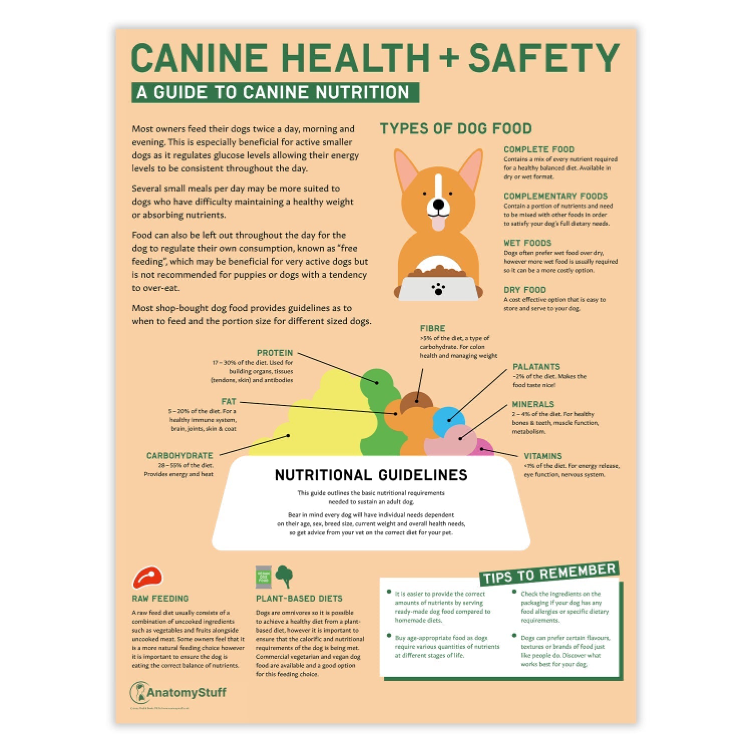 Canine Health & Safety: A Guide to Canine Nutrition Chart / Poster - Part of Collection
