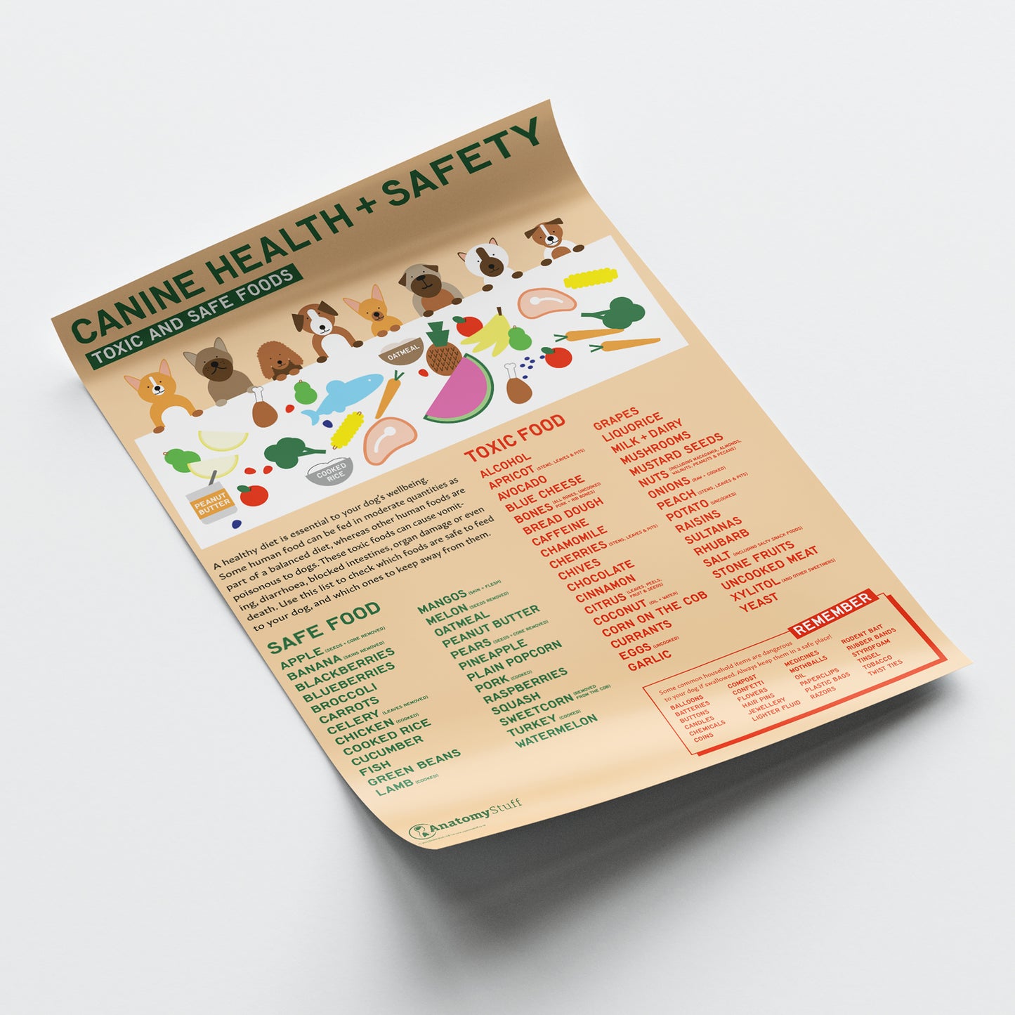 Canine Health & Safety: Toxic and Safe Foods Chart /  Poster