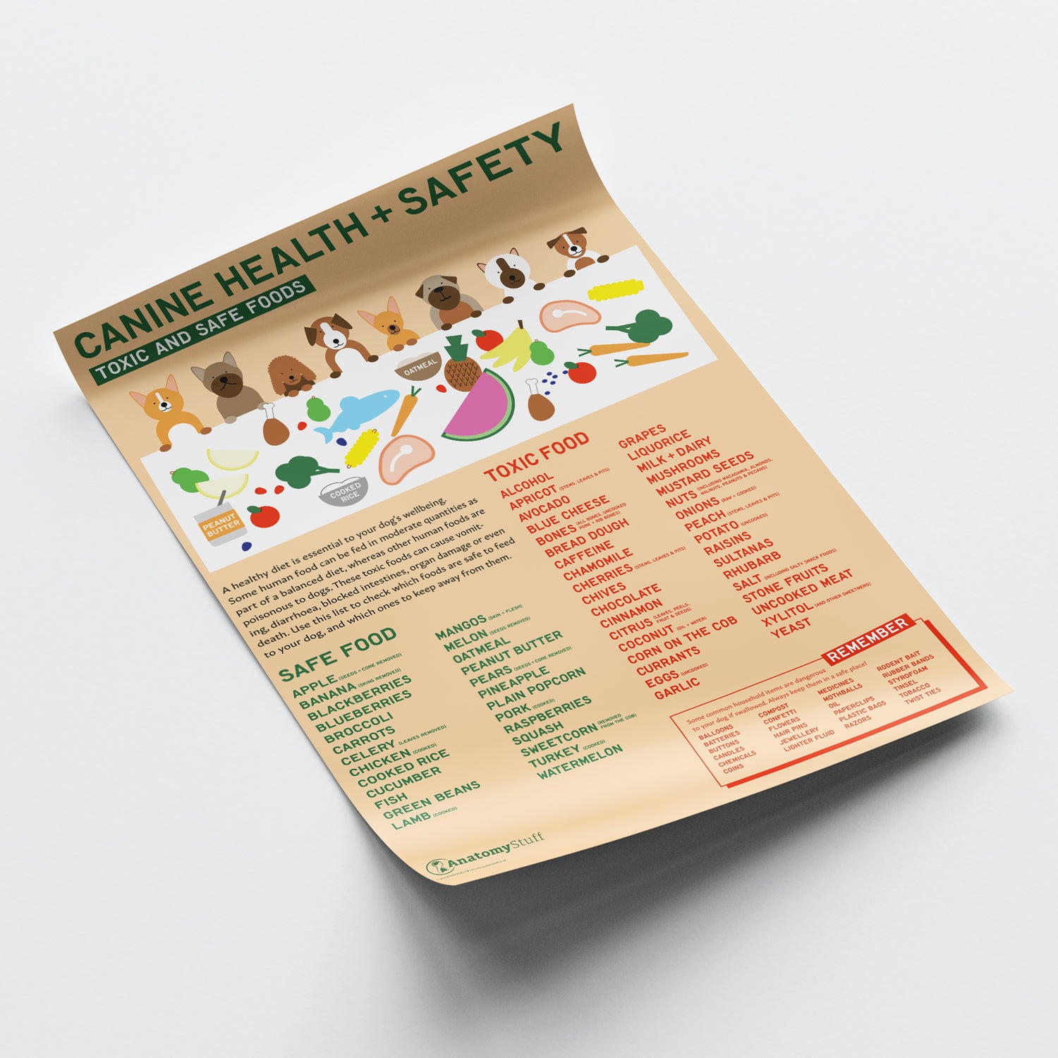 Canine Health & Safety: Toxic and Safe Foods Chart /  Poster