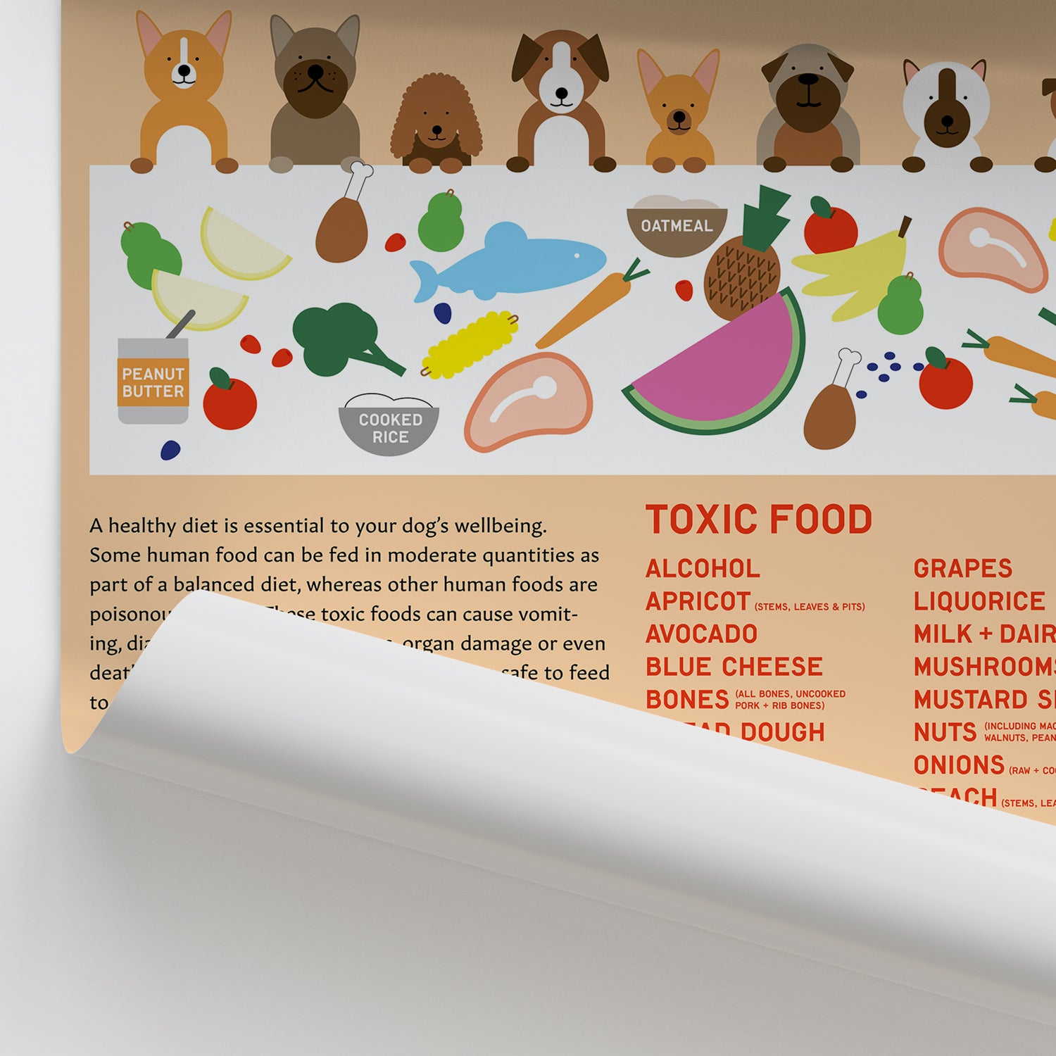Canine Health & Safety: Toxic and Safe Foods Chart /  Poster