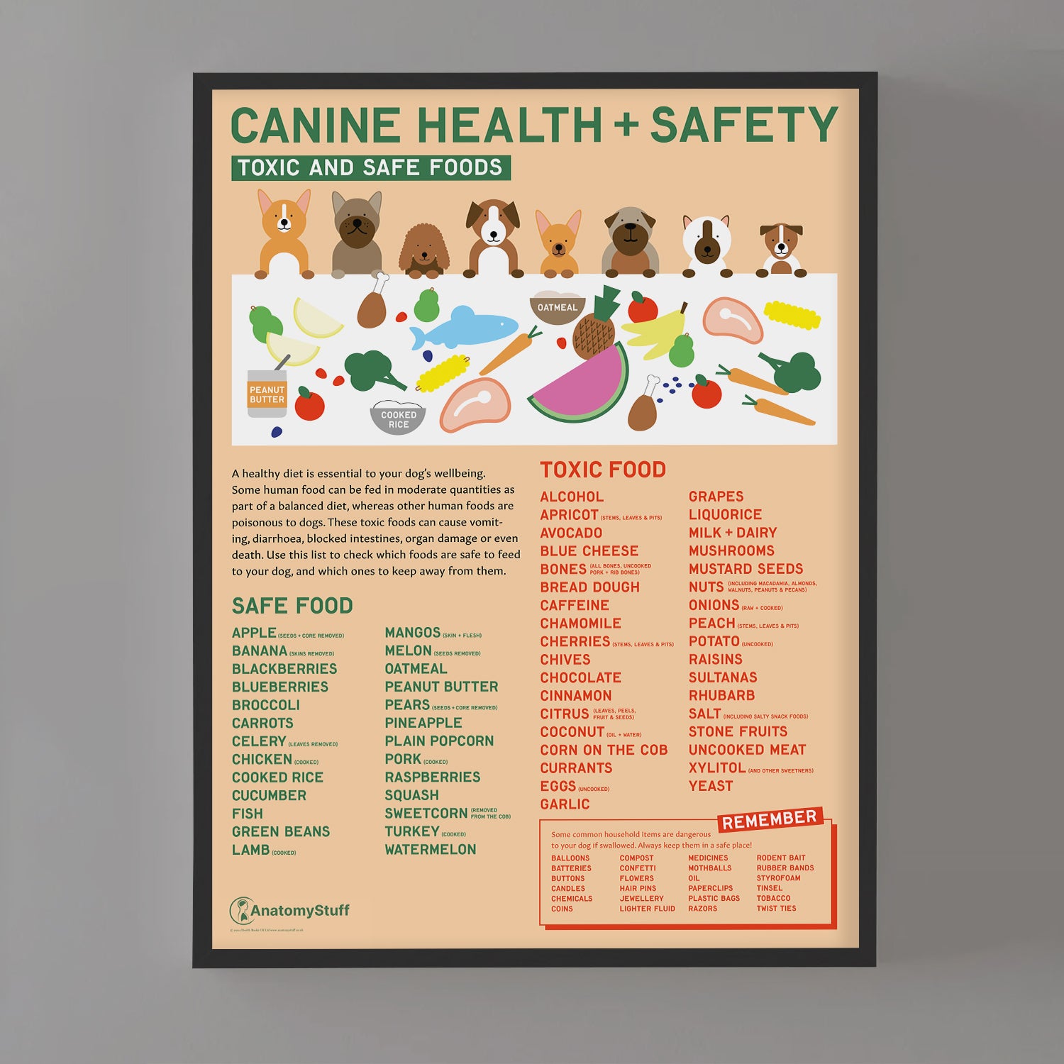 Canine Health & Safety: Toxic and Safe Foods Chart /  Poster