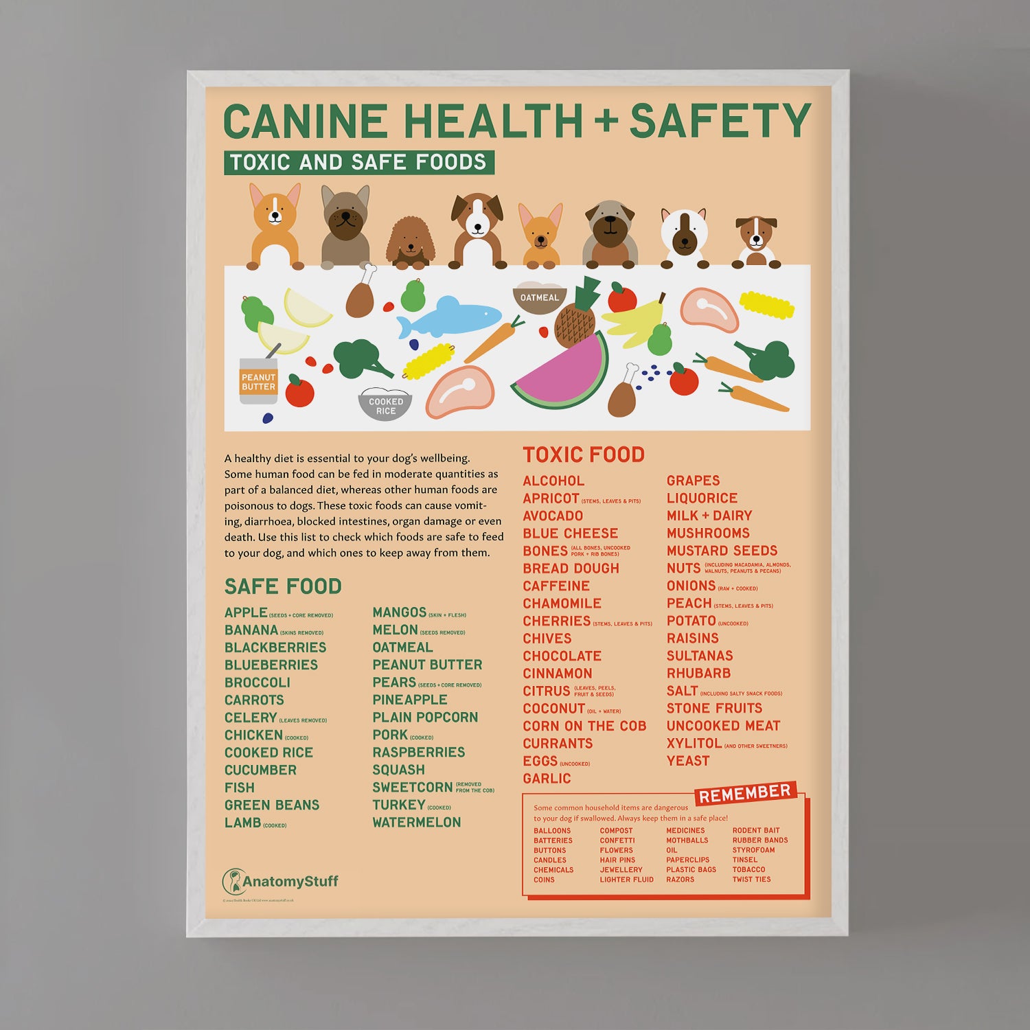 Canine Health & Safety: Toxic and Safe Foods Chart /  Poster