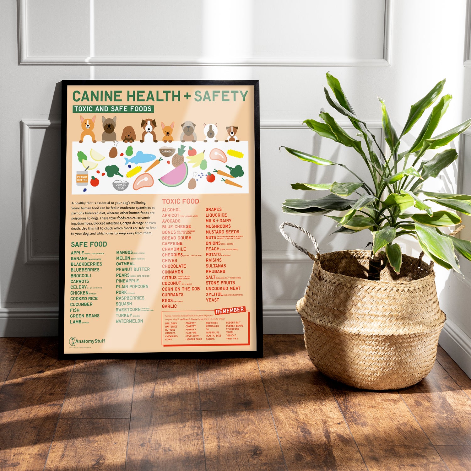 Canine Health & Safety: Toxic and Safe Foods Chart /  Poster