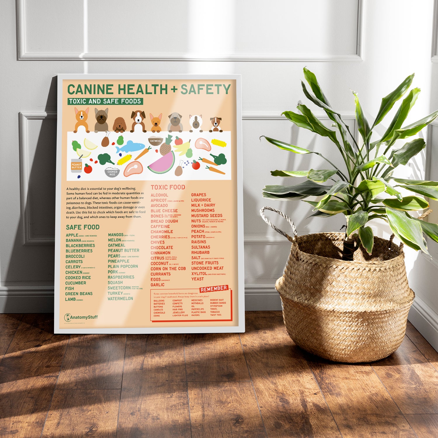 Canine Health & Safety: Toxic and Safe Foods Chart /  Poster