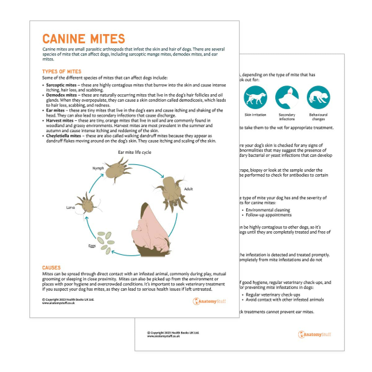 Canine Ear Mites Printable PDF