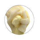 Switch Life-size Canine Shoulder Model 9075 close up of joint 2 image