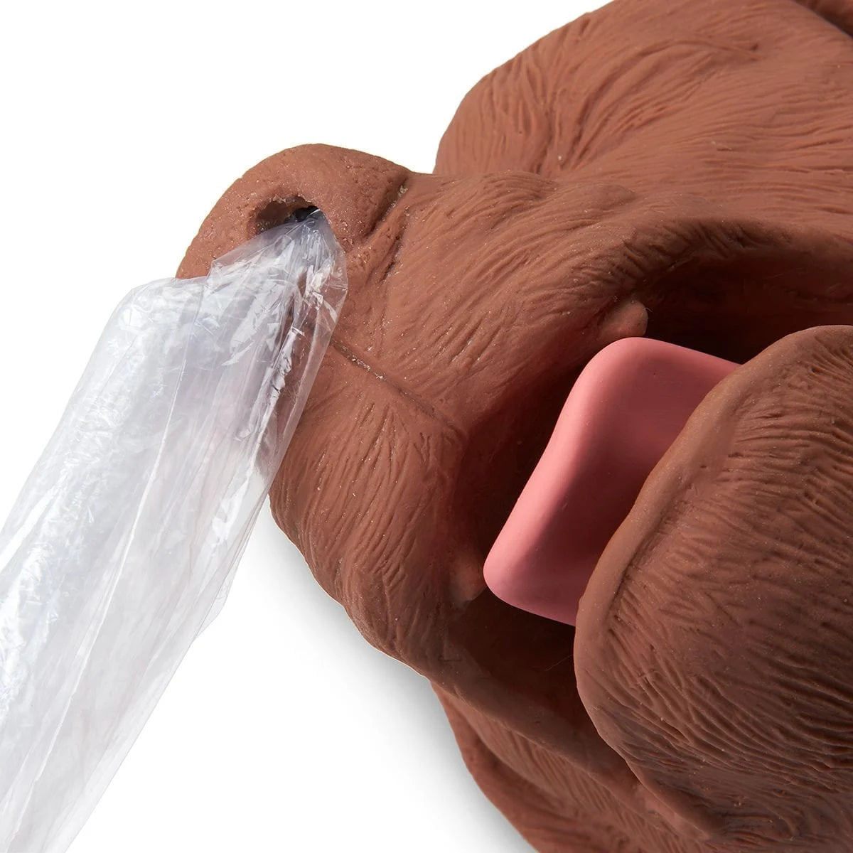 Canine CPR Manikin Casper