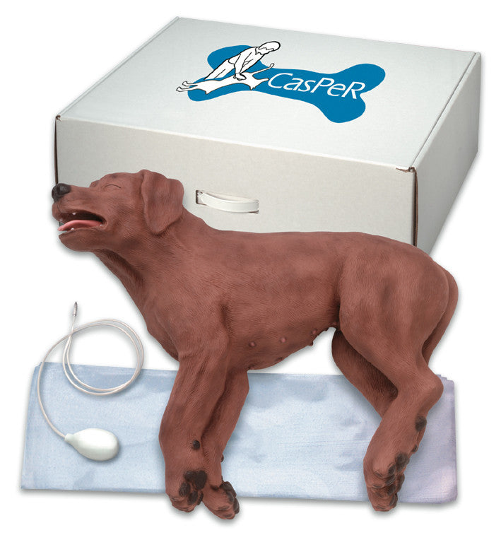 Canine CPR Manikin Casper