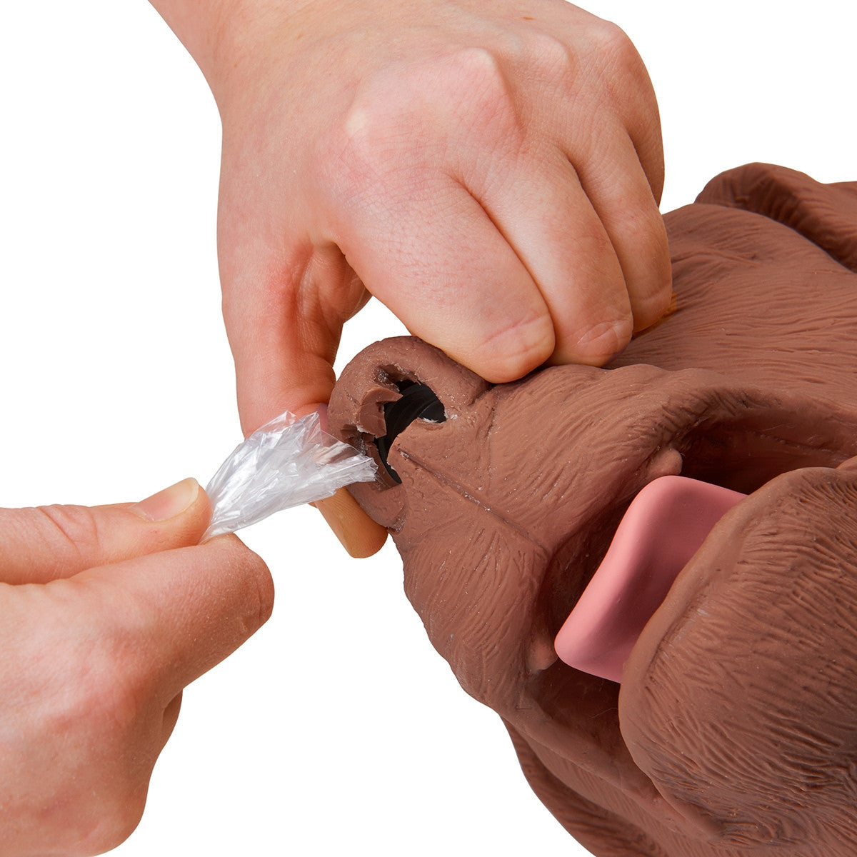 Canine CPR Manikin Casper