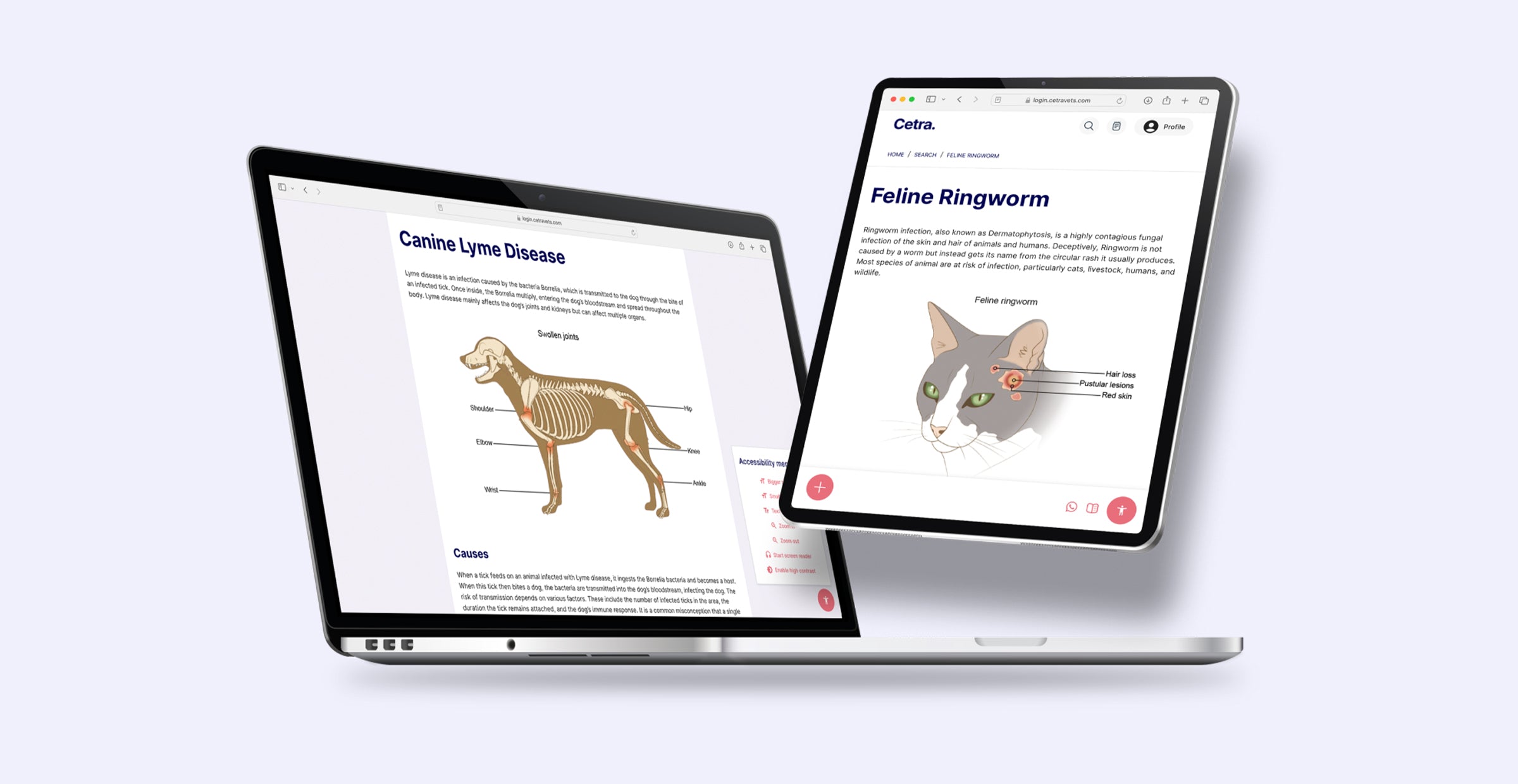 Thinking of going digital? Try Cetra Health today!