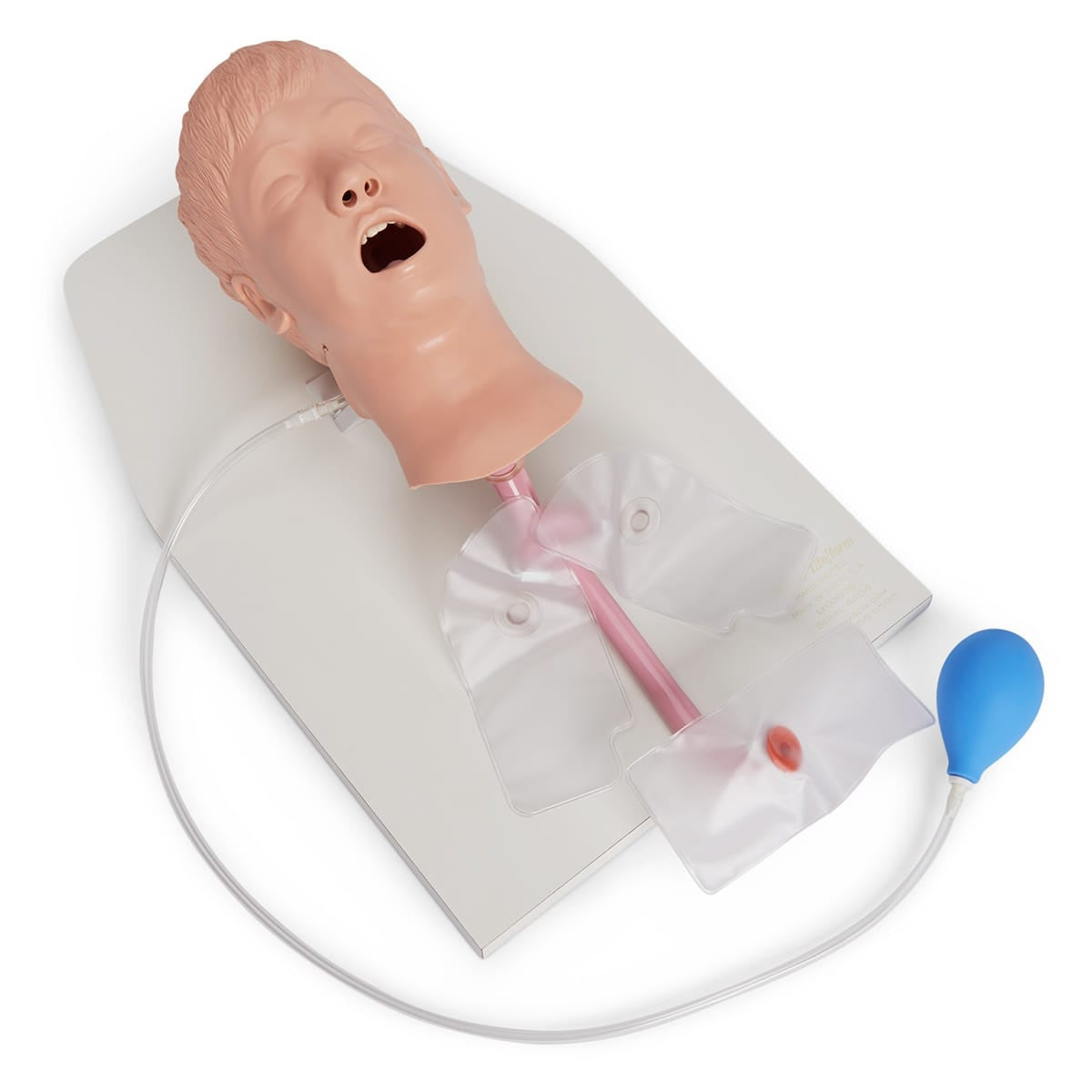 Child Airway Management Trainer with Stand LF03609