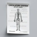 Switch Circulatory System Anatomy Activity Sheet PDF 2 image