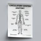 Switch Circulatory System Anatomy Poster PDF 2 image