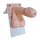 Switch Sexual Health Trainer for PSHE 3 image