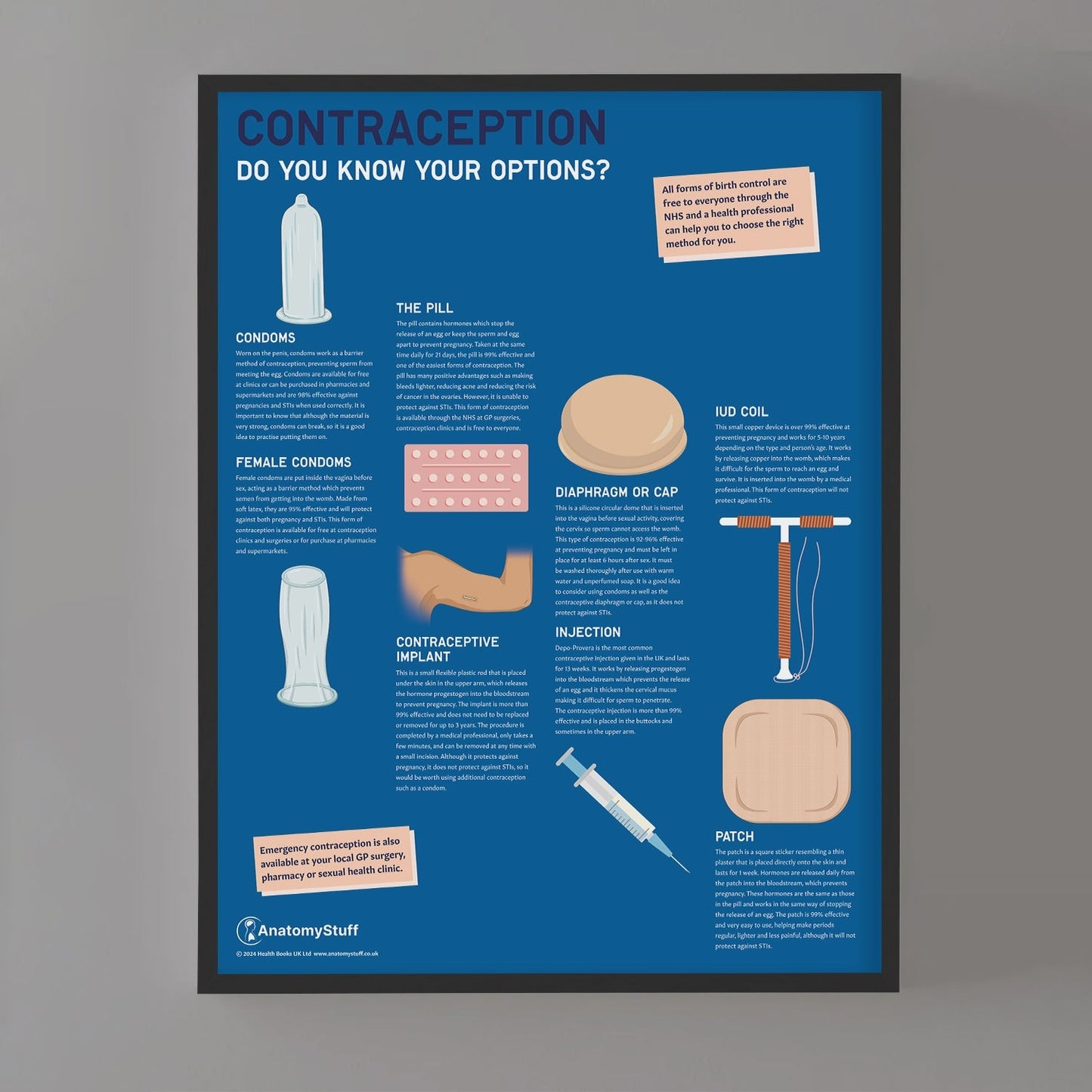 Contraception: Do you know your options? Chart / Poster - Part of Collection