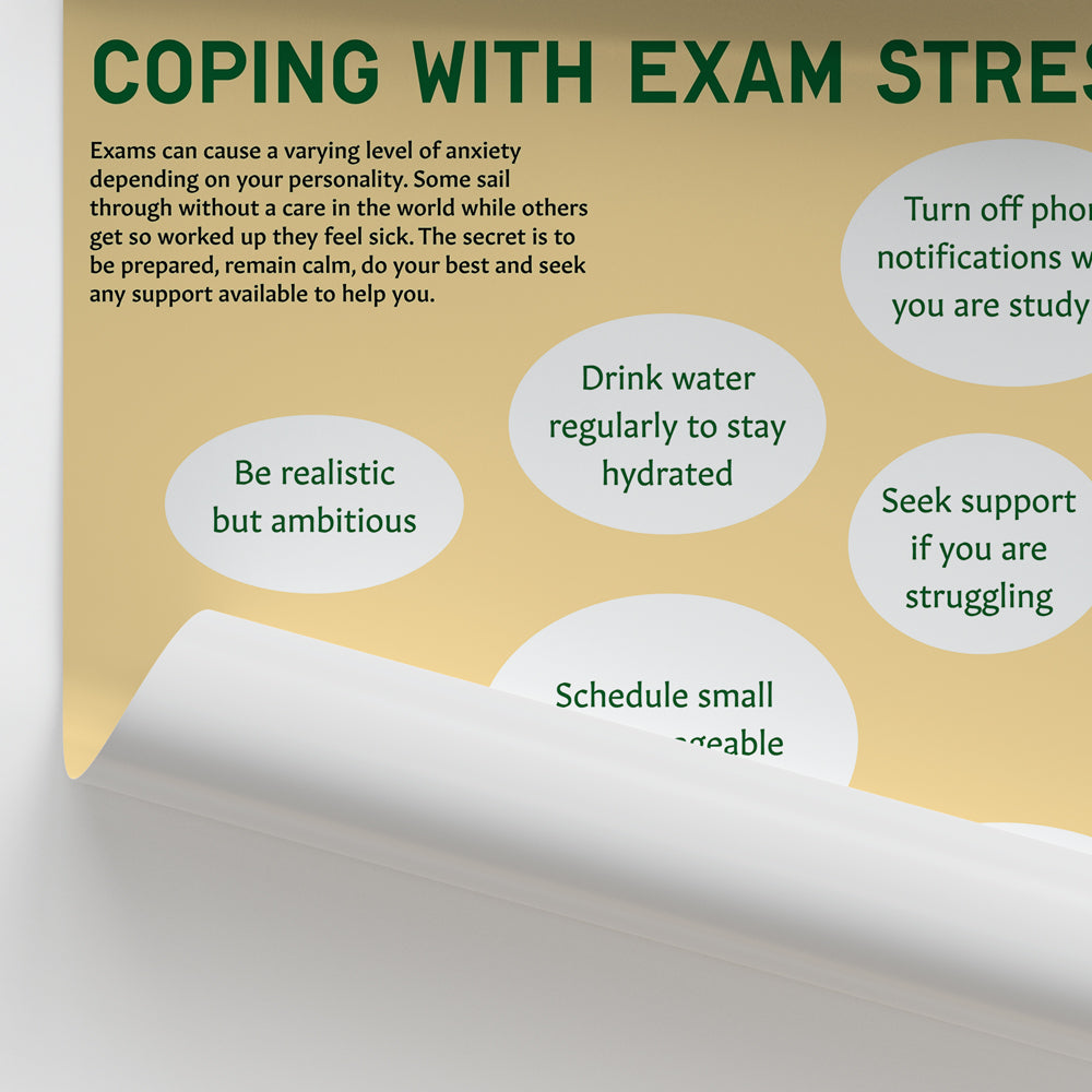 Coping with Exam Stress Chart / Poster - Part of Collection