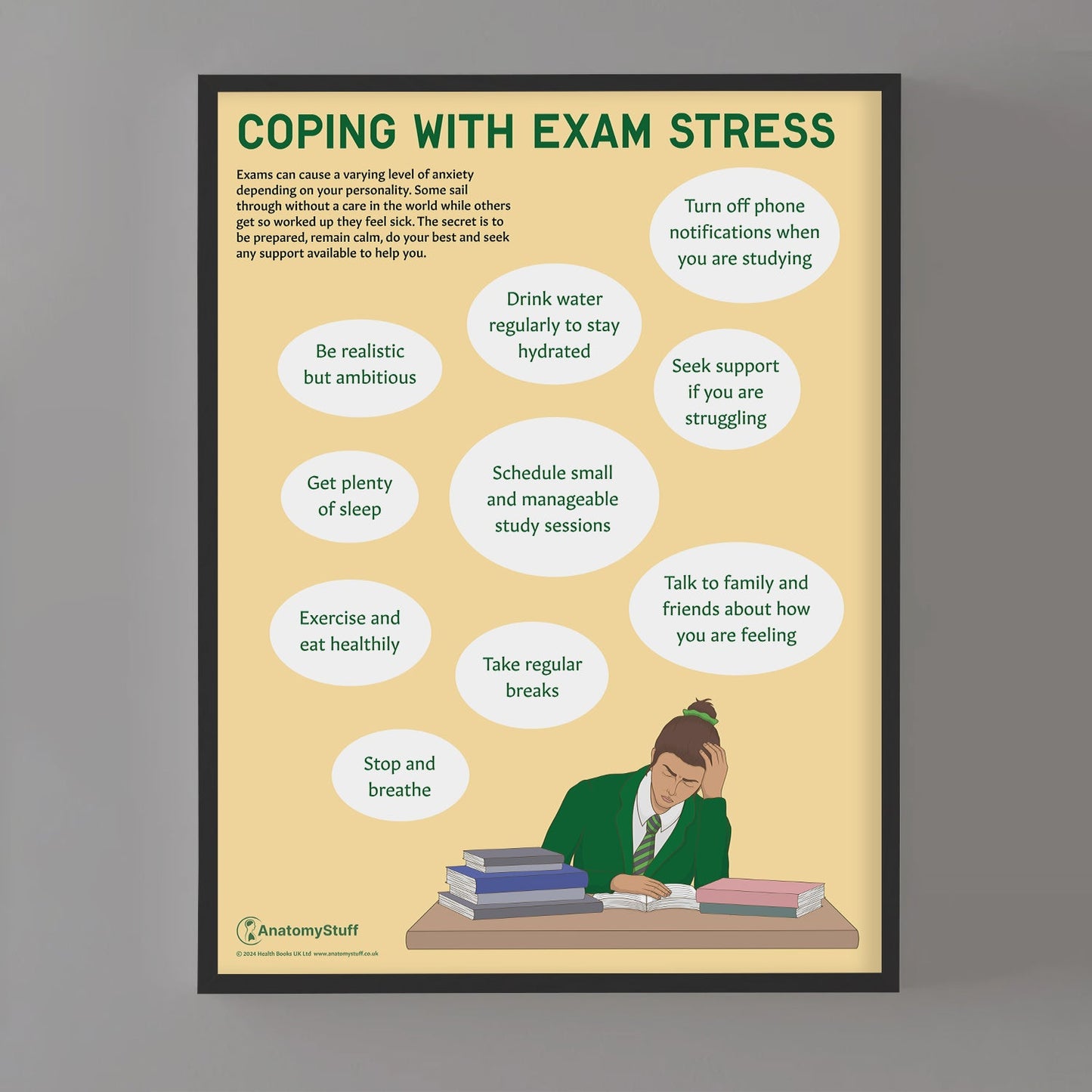 Coping with Exam Stress Chart / Poster - Part of Collection