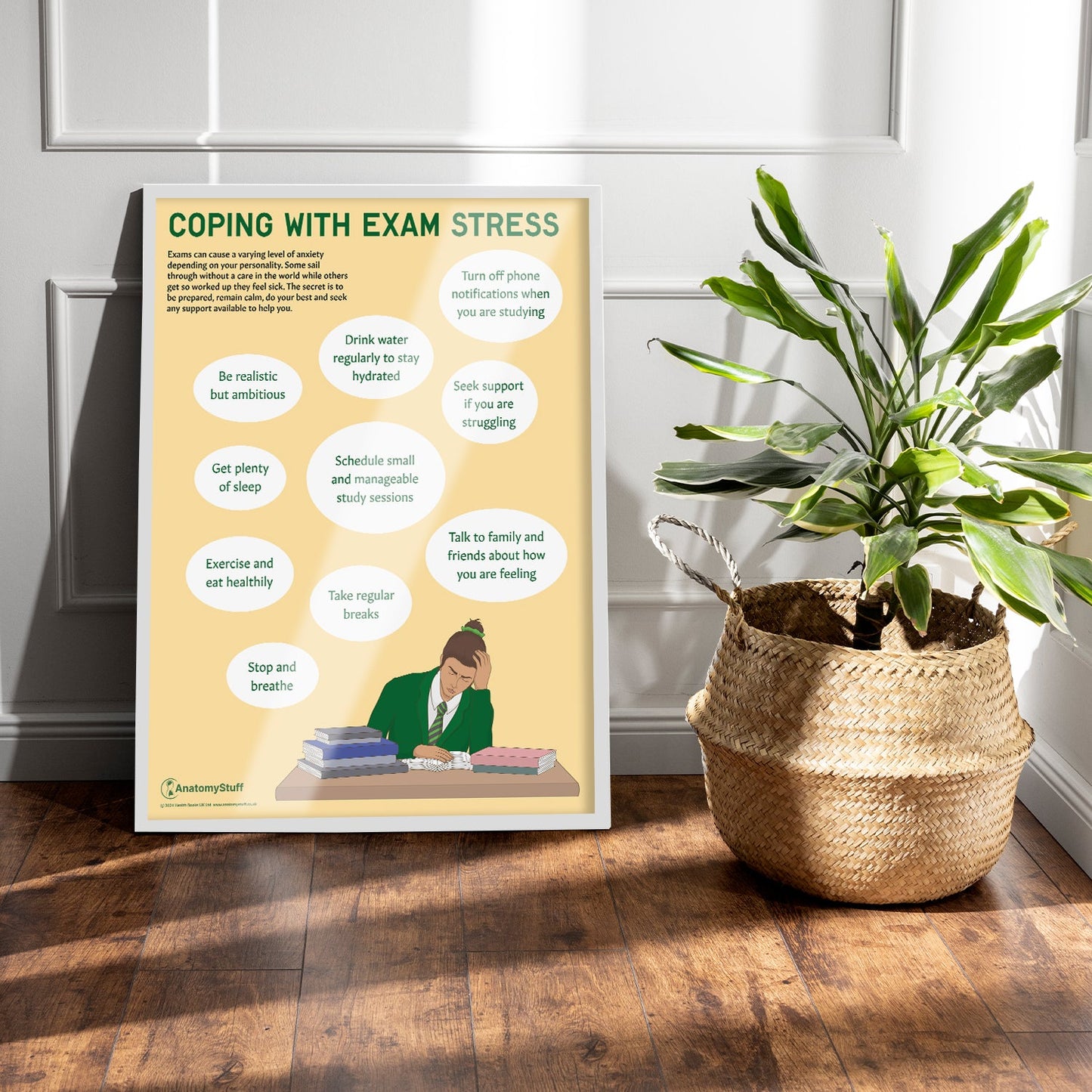 Coping with Exam Stress Chart / Poster - Part of Collection